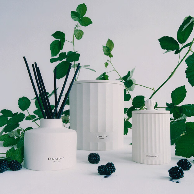 bougie pour maison de ville aux baies sauvages et aux ronces