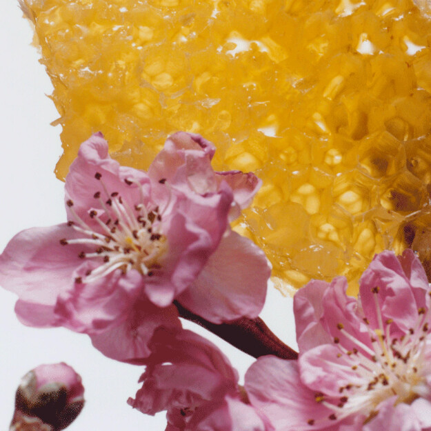 crème pour le corps à la fleur de nectarine et au miel