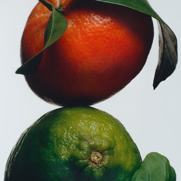 gel douche et mains citron vert basilic et mandarine